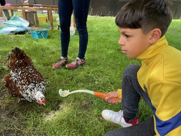 Ein Junge füttert ein buntes Huhn mit einem langen Löffel